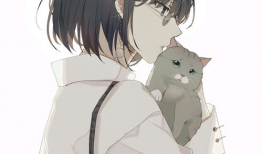 高清动漫图片大全,经典角色齐聚一堂