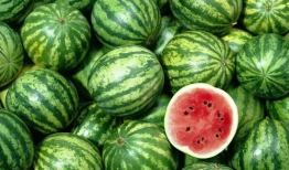 59cg10吃瓜爆料,揭秘娱乐圈最新吃瓜大事件